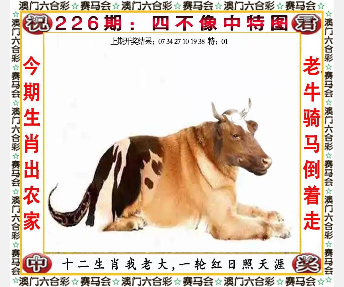 开奖结果